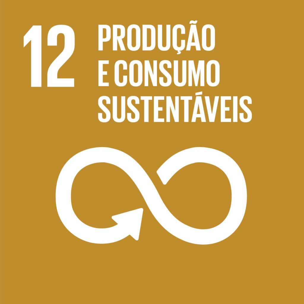 Objetivo 12: Padrões de Consumo e Produção Responsáveis