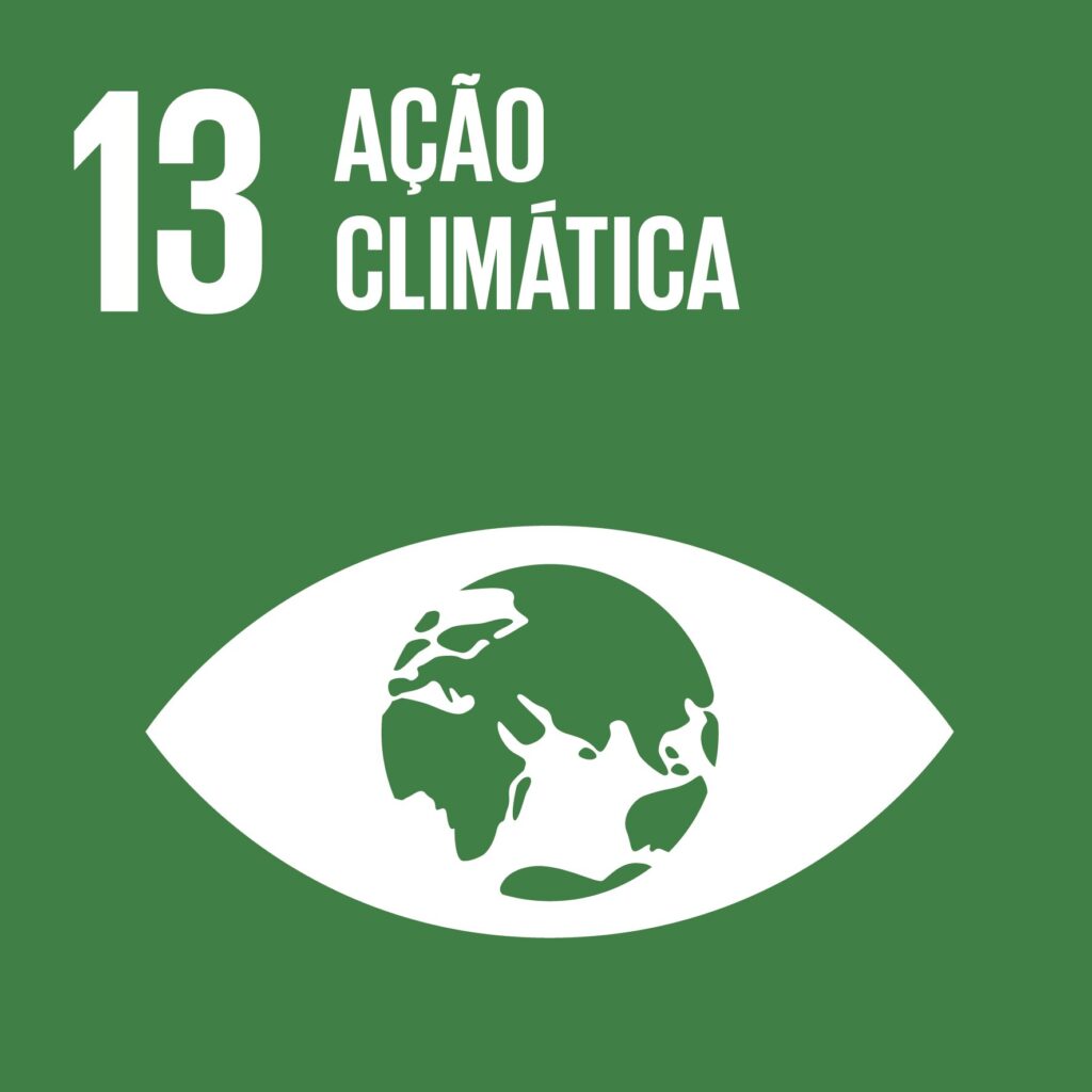 Objetivo 13: Ação Climática