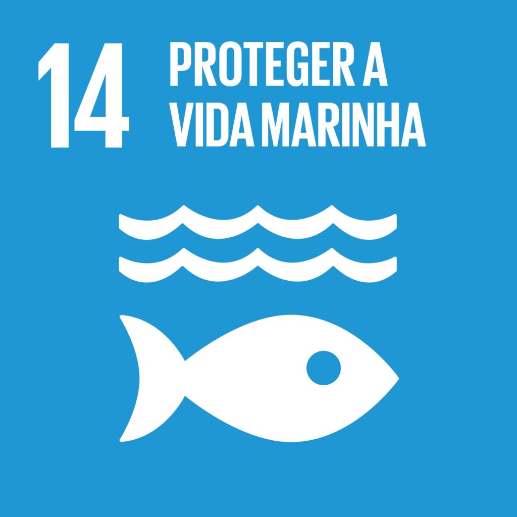 Objetivo 14: Proteger a Vida Marinha
