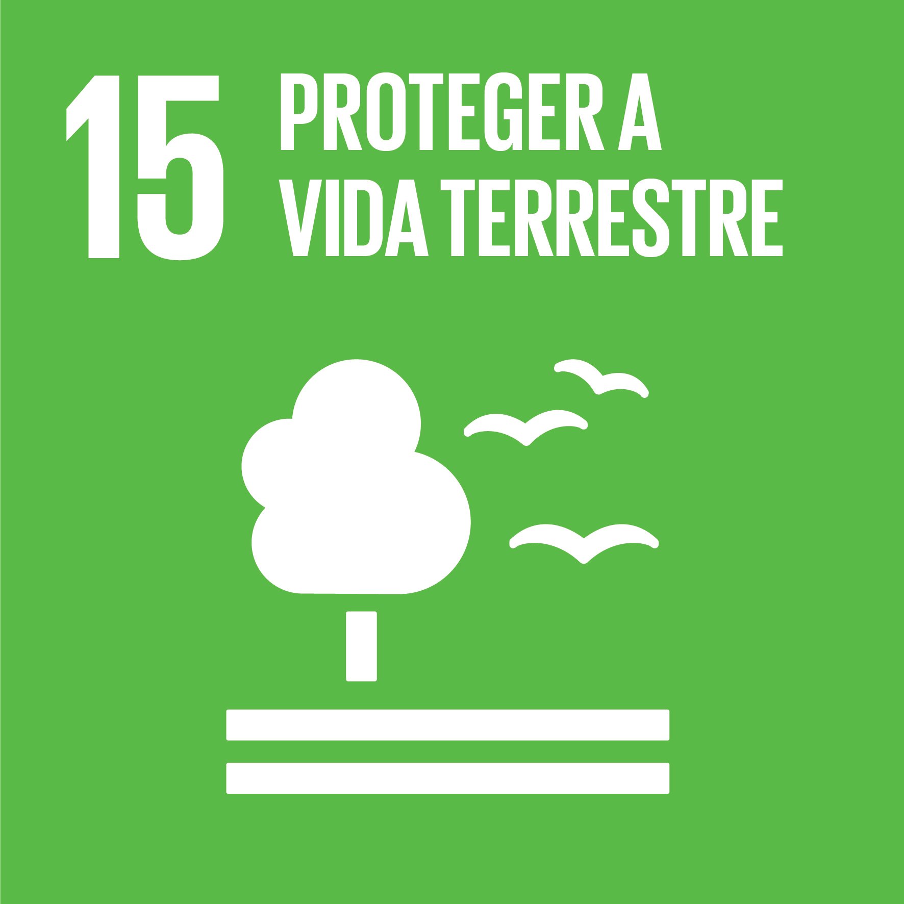 Objetivo 15: Proteger a Vida Terrestre